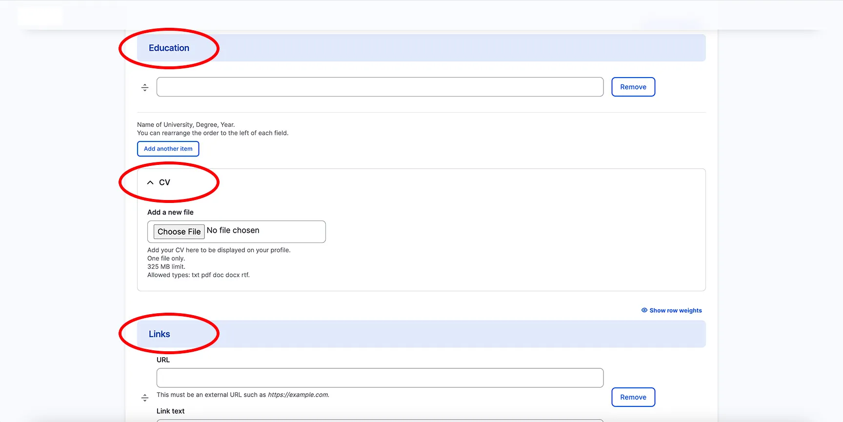 Screenshot of Education, CV, Links profile sections